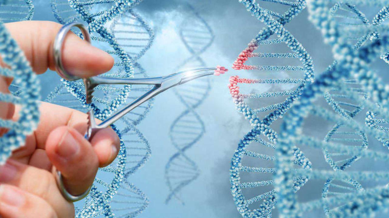 2019, año de innovaciones en el campo de la genética