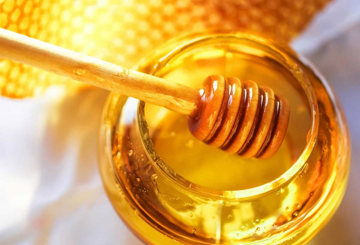 Agua tibia con miel, un remedio natural que le aportará energía