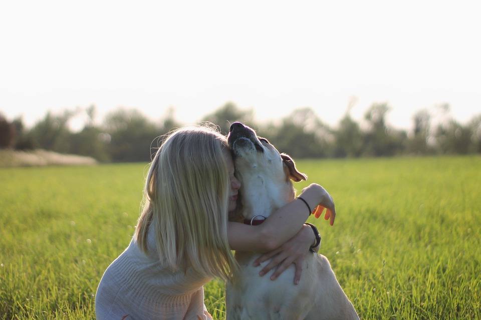 5 razas de perros más recomendadas para niños con autismo