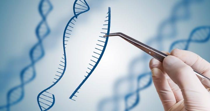 CRISPR, aplicaciones del ‘corta y pega’ genético