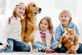 Menos alergias alimentarias en niños que viven con perros o gatos