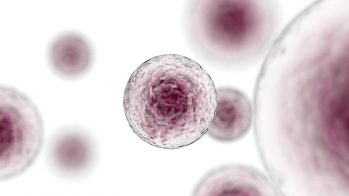 Las células madre: futuro de la medicina regenerativa
