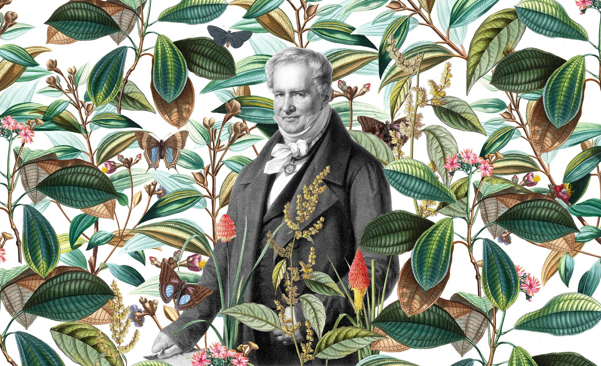 Humboldt, el genio romántico que anticipó el cambio climático