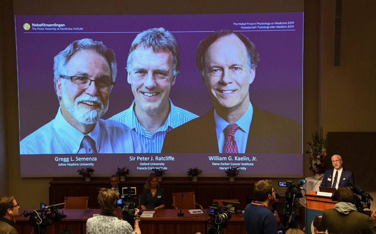 Investigación celular gana premio Nobel de Medicina