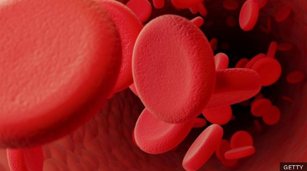 El «prometedor» método para crear “sangre universal” que podría salvar millones de vidas