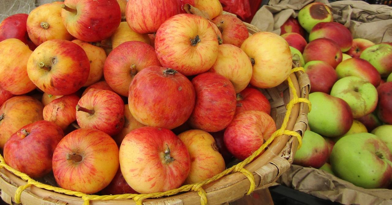 Dos manzanas al día ayuda a mantener el colesterol en niveles adecuados