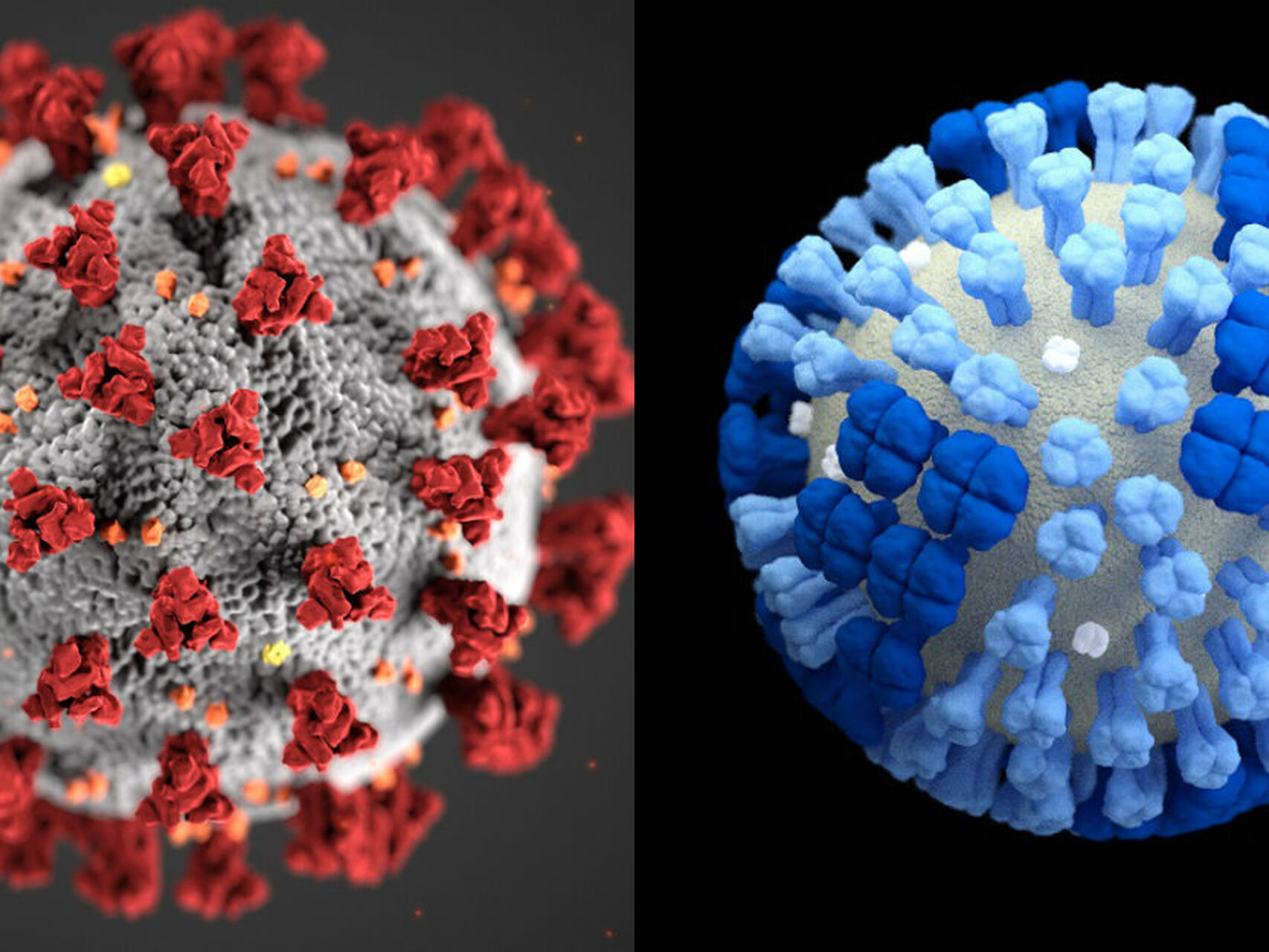 INFECCIOSAS Gripe y coronavirus: dos similitudes y siete diferencias que no conocías