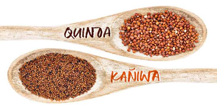 Kañiwa, una semilla con múltiples propiedades