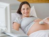 Ácido fólico durante el embarazo