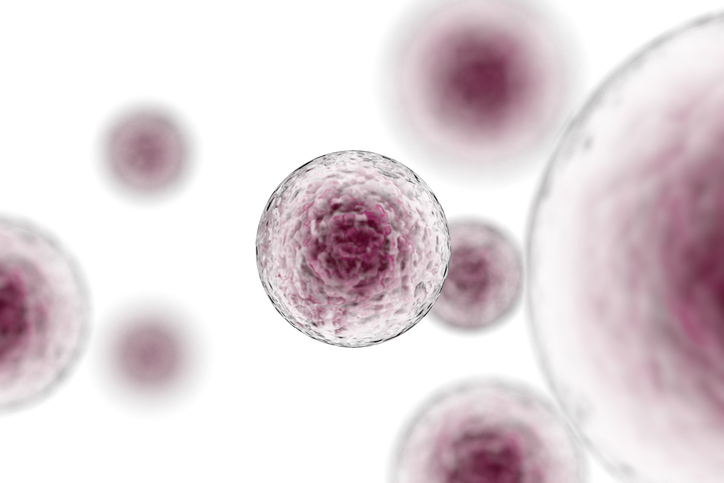 Las células madre: futuro de la medicina regenerativa
