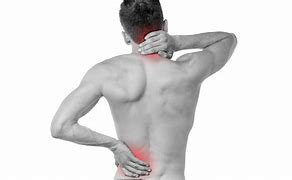 Ejercicios para fortalecer la espalda