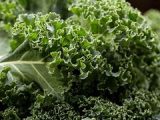 Kale, un alimento muy nutritivo y bajo en calorías