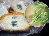 Alimentos con moho, ¿debo tirarlos?